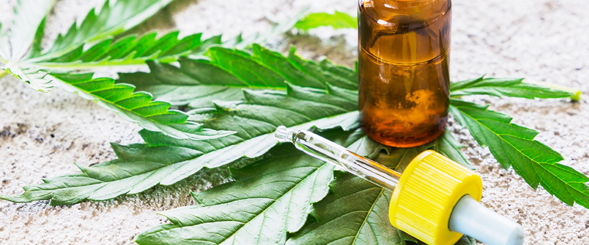 Timing Medical Marijuana Use for Optimal Effects on Parkinson's Disease Symptoms: The Ultimate Guide