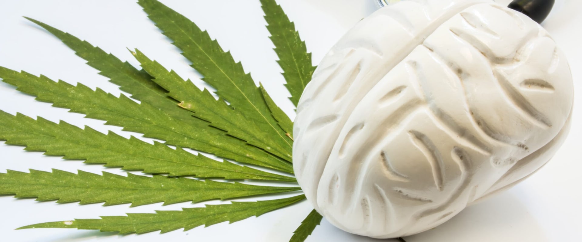 The Benefits of Combining Medical Marijuana with Traditional Treatments for Parkinson's