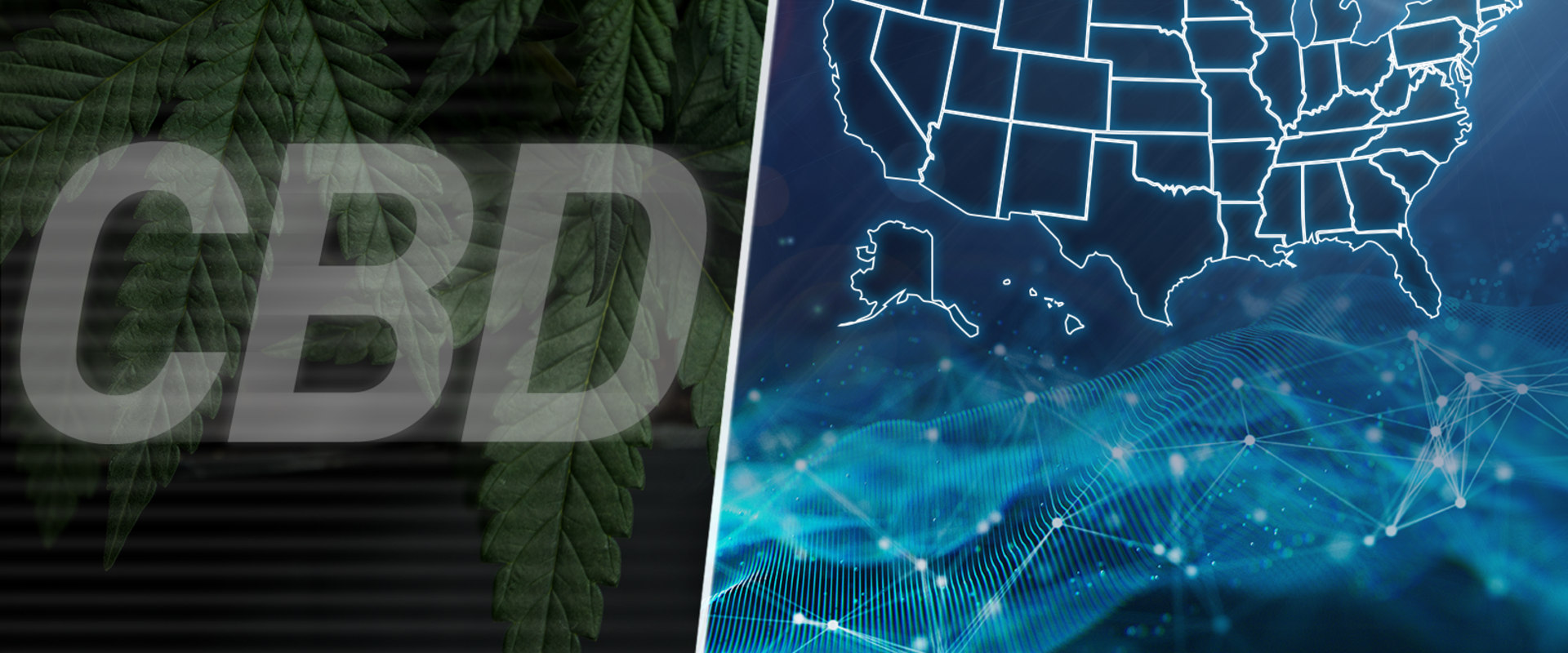 The Legal Status of CBD for Medicinal Use in Different Regions