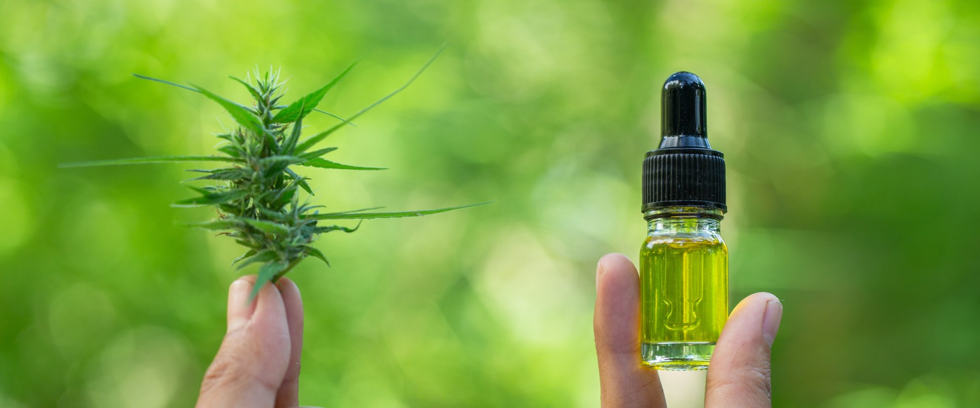 Obtaining High-Quality, Lab-Tested CBD Products for Parkinson's: A Comprehensive Guide